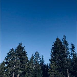 Meet your Posher, Tony orlando